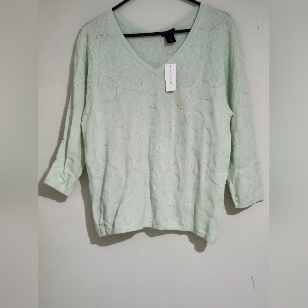 Ann Taylor Light Green Lace V-Neck Top